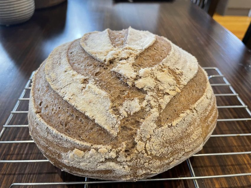 Gluten free ‘white bread’ sourdough
