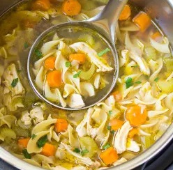 instant-pot-chicken-noodle-soup