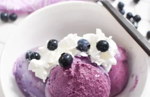 Ninja Creami Blueberry Ice Cream